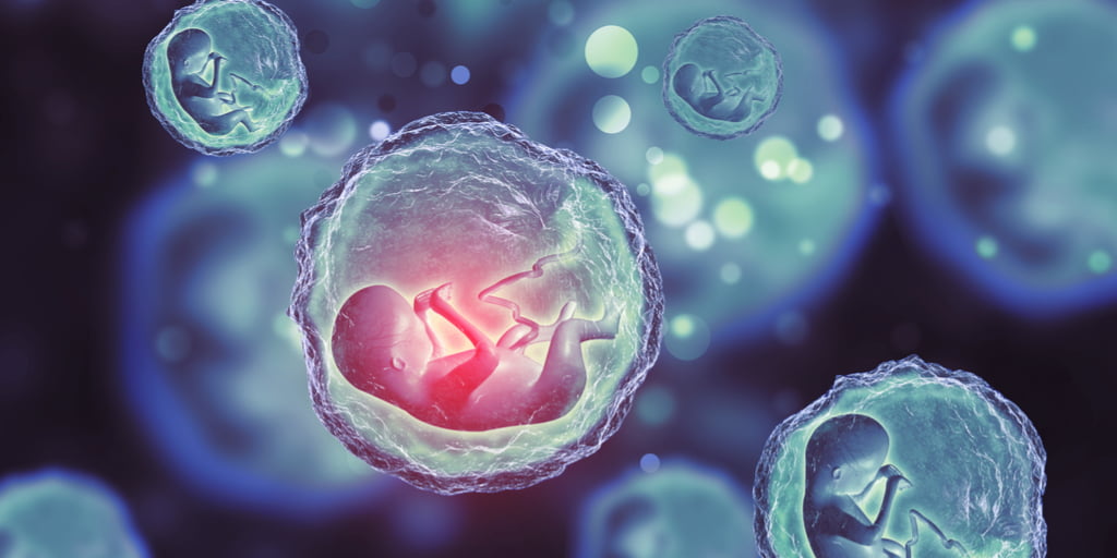 Иммунные клетки в эмбриональном развитии указывают на риск шизофрении