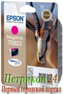 Картридж Epson T09234A (T10834A10)