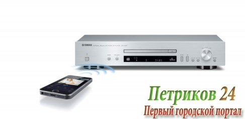 CD плеер YAMAHA CD-N301 серебристый
