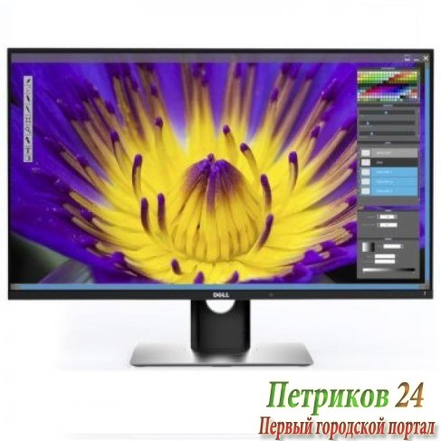 Монитор Dell UP3017 Black 3017-4879