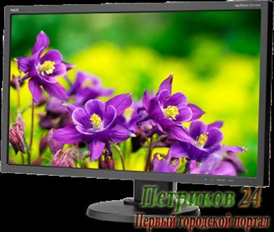Монитор NEC MultiSync E243WMi-BK черный