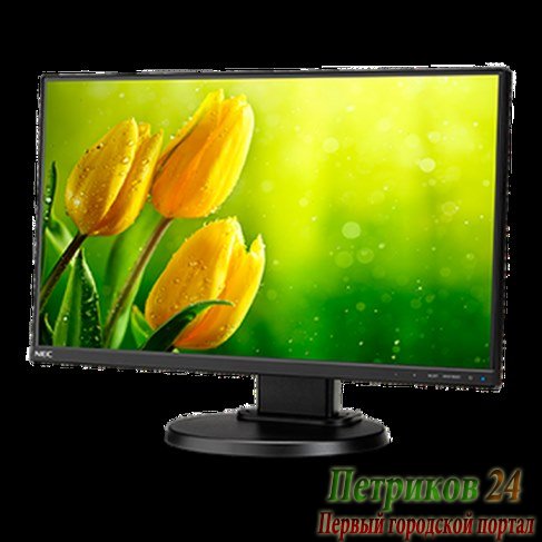 Монитор NEC E221N Black