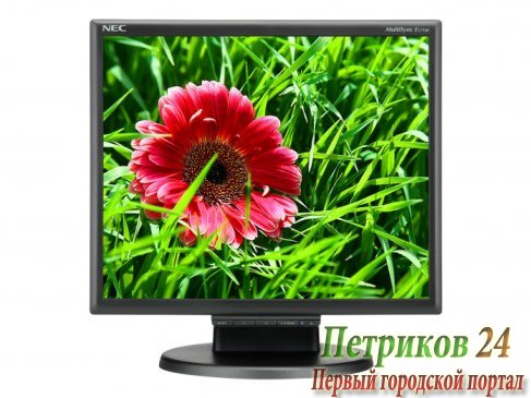 Монитор NEC E171M Black