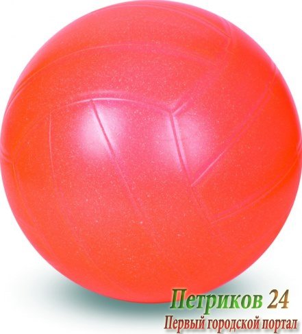 Мяч Весна Волейбольный В510