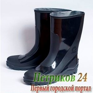 Сапоги укороченные WOODLINE Эконом 95-77 черные