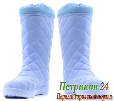 Сапоги зимние WOODLINE ЭВА -45, голубые (990-45)
