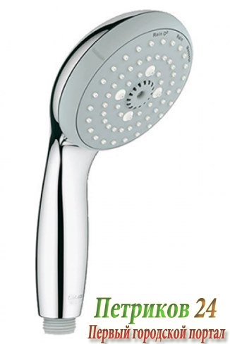 Душевая лейка GROHE Tempesta 100 28421001