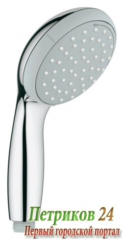 Душевая лейка GROHE Tempesta New 100 27597000
