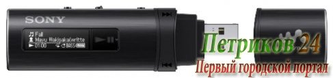 Плеер MP3 Sony NWZ-B183F черный