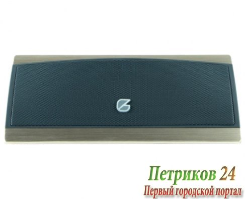 Колонка портативная GZ Electronics LoftSound GZ-66 Gold