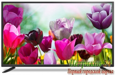 Телевизор Erisson 49ULES85T2SM