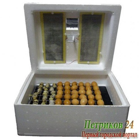 Инкубатор Золушка 70 яиц, 220В/12В, ручной переворот