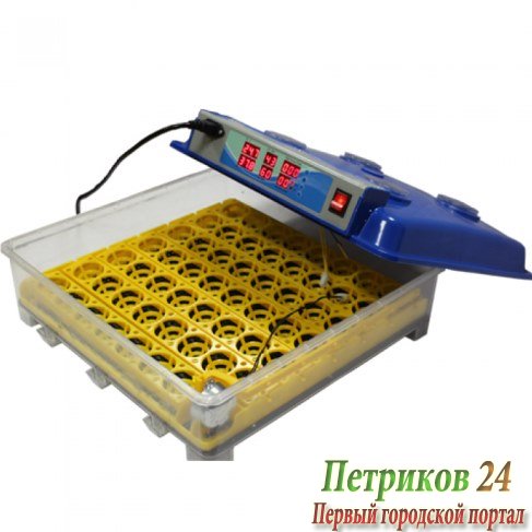 Инкубатор WQ 55