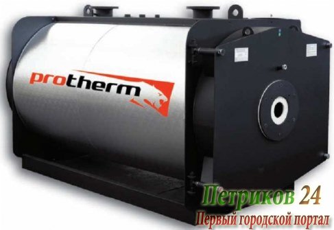 Отопительный котел Protherm Бизон NO 80