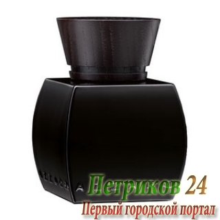 Azzaro pour Homme Bois Precieux men