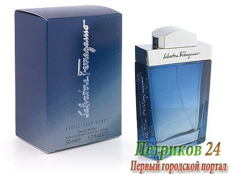 Salvatore Ferragamo Subtil Pour Homme men