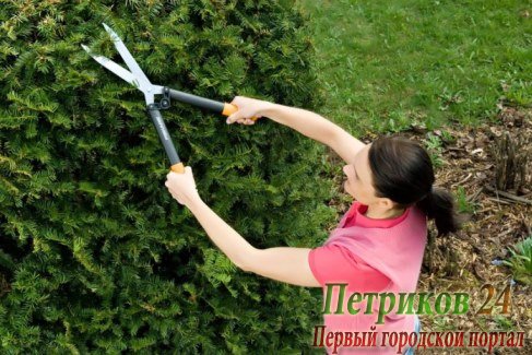Ножницы для живой изгороди FISKARS 114750