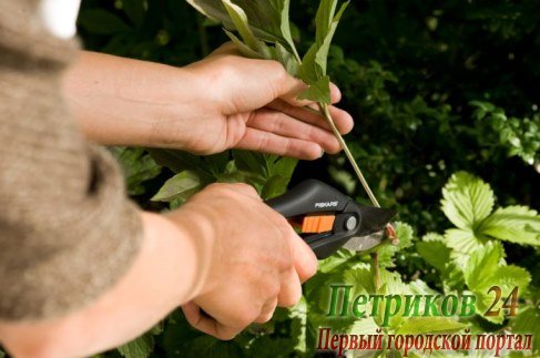 Плоскостной секатор FISKARS 111260