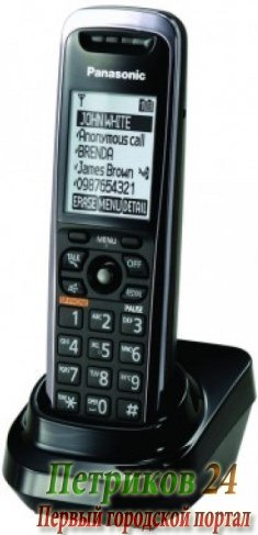 Радиотелефон Panasonic KX-TPA50B09