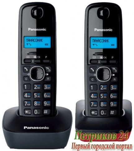 Радиотелефон Panasonic KX-TG 1612RU3