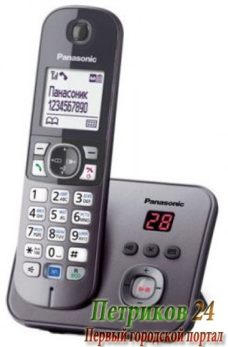 Радиотелефон Panasonic KX-TG6821RUM серебристый металлик