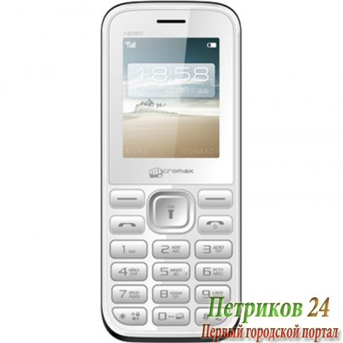 Мобильный телефон Micromax X2050 white