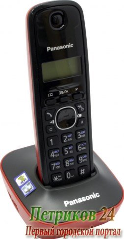 Радиотелефон Panasonic KX-TG1611RUR