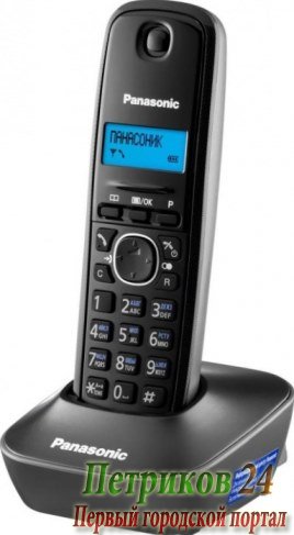 Радиотелефон Panasonic KX-TG1611RUH