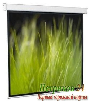 Экран настенный ScreenMedia Goldview SGM-4304