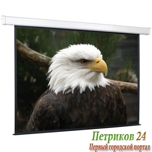 Экран с электроприводом ScreenMedia Champion SCM-4307