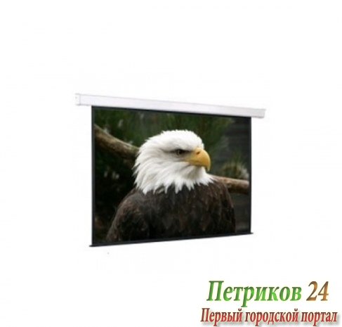 Экран с электроприводом ScreenMedia Champion SCM-4306