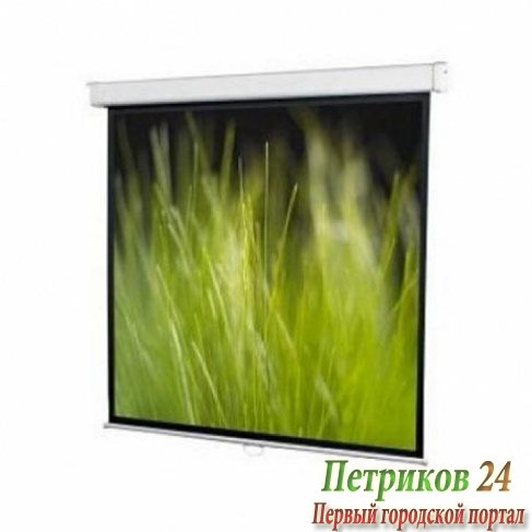 Экран с электроприводом ScreenMedia Champion SCM-16906