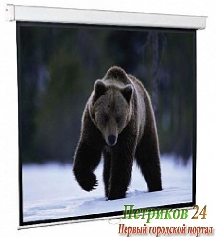 Экран настенный ScreenMedia Economy-P SPM-1103