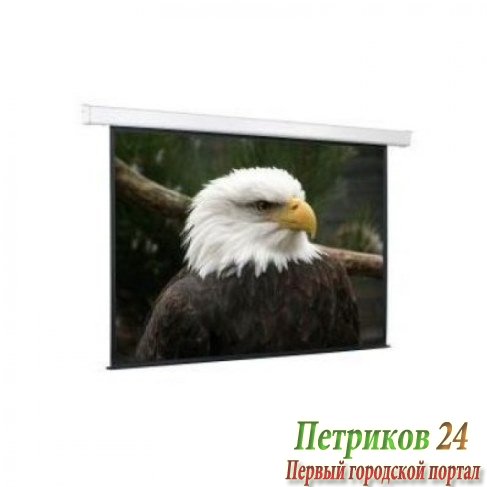 Экран с электроприводом ScreenMedia Champion SCM-1104