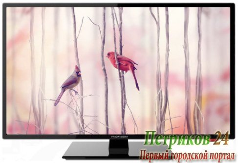 Телевизор Thomson T19RTE1060