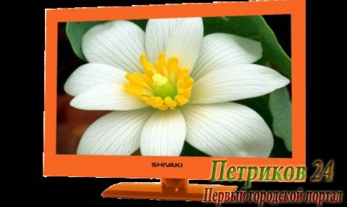 Телевизор Shivaki STV-24LEDGO9
