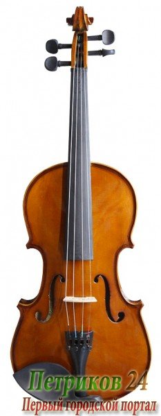 FLIGHT FV-44 - Скрипка 4/4, отделка classic (в комплекте смычок, канифоль, футляр)