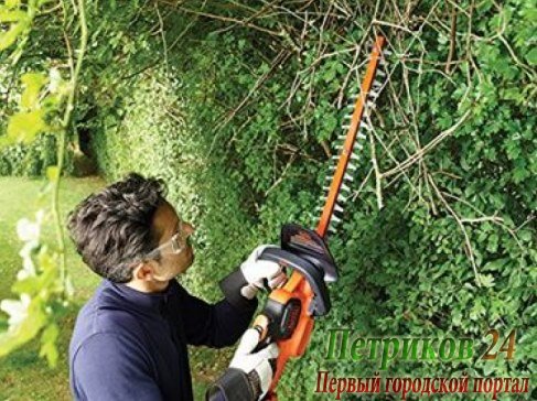 Кусторез аккумуляторный Black&Decker GTC18452PC