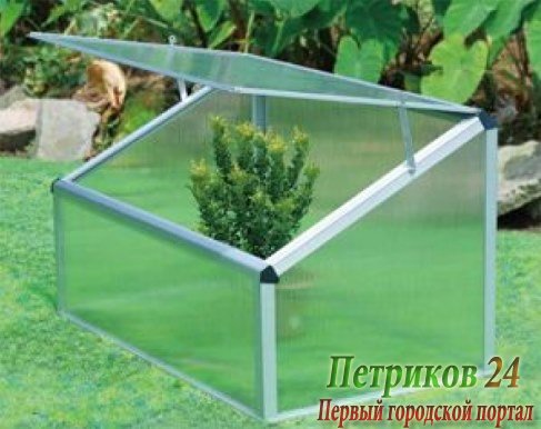 Теплица JXX -50021