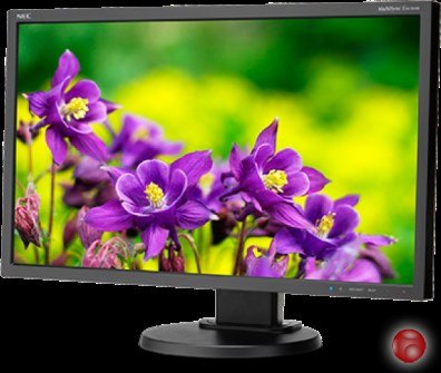 Монитор NEC MultiSync E243WMi-BK черный