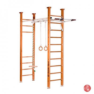 Детский спортивный комплекс (ДСК) «Perfetto sport» Molto PS-107