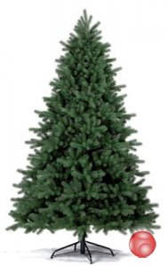 Ель Royal Christmas Georgia 290120 (120 см)