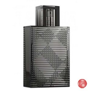 Burberry BRIT RHYTHM for edt 100 ml Men